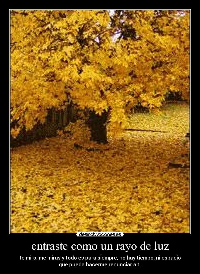 entraste como un rayo de luz - 