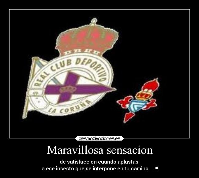 Maravillosa sensacion - de satisfaccion cuando aplastas
a ese insecto que se interpone en tu camino....!!!!