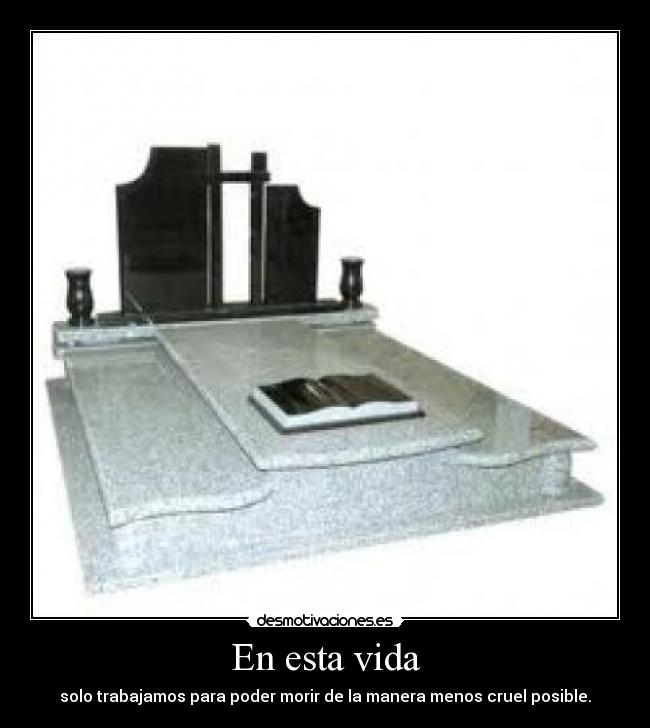 carteles vida abuelo del gatowalt desmotivaciones