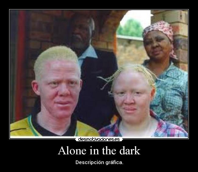 Alone in the dark - Descripción gráfica.