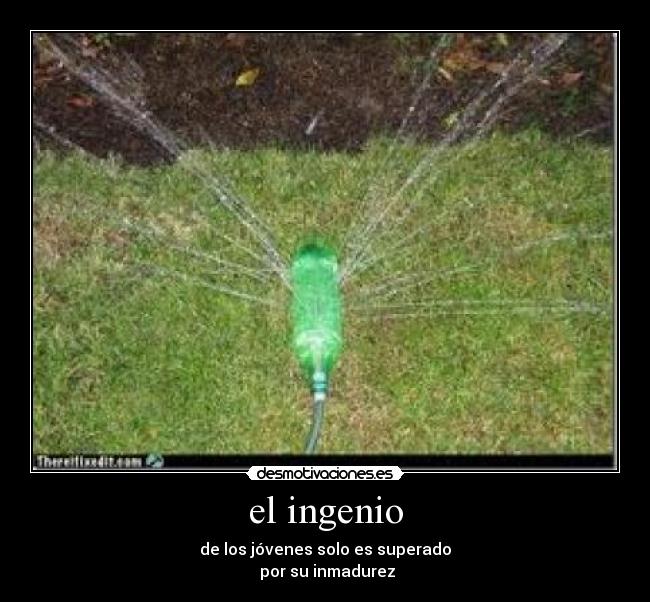 el ingenio -