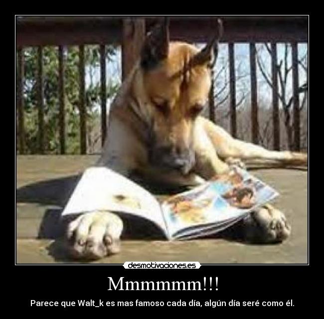 Mmmmmm!!! - Parece que Walt_k es mas famoso cada día, algún día seré como él.