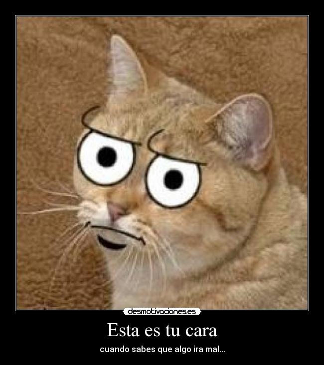 Esta es tu cara - cuando sabes que algo ira mal...