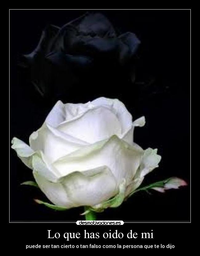 Lo que has oido de mi - puede ser tan cierto o tan falso como la persona que te lo dijo