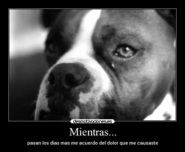 Mientras... - 