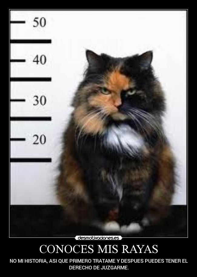 carteles asdfghjk desmotivaciones