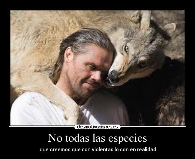 No todas las especies - que creemos que son violentas lo son en realidad