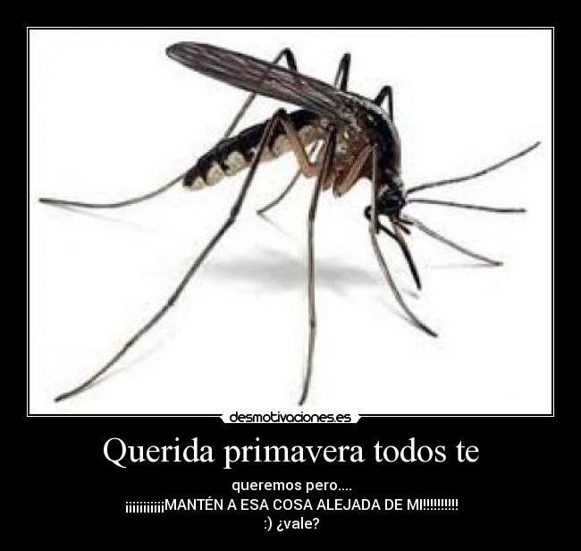 Querida primavera todos te - queremos pero....
¡¡¡¡¡¡¡¡¡¡¡MANTÉN A ESA COSA ALEJADA DE MI!!!!!!!!!!
:) ¿vale?
