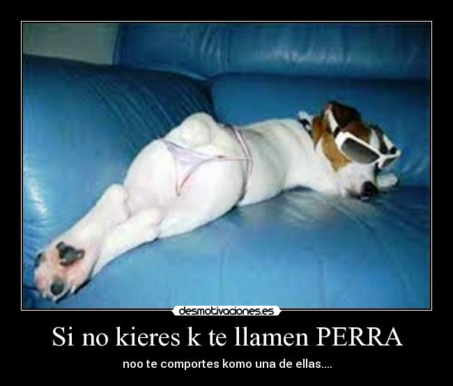 Si no kieres k te llamen PERRA -