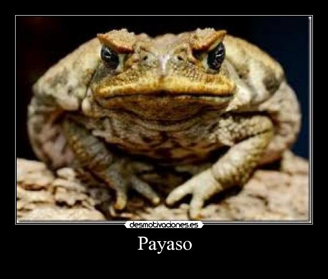 Payaso - 
