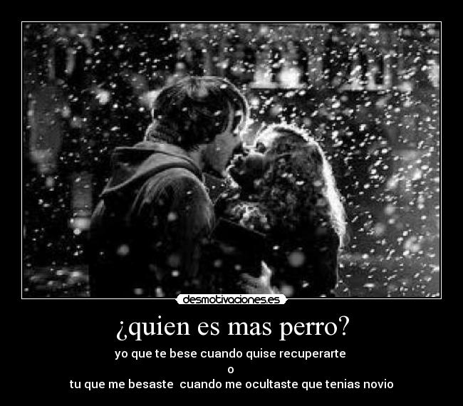 ¿quien es mas perro? - 