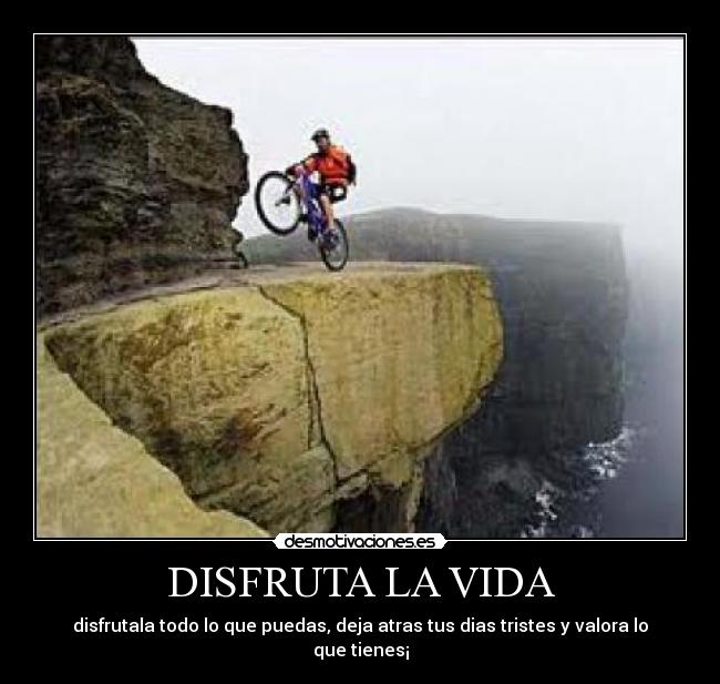 DISFRUTA LA VIDA - 