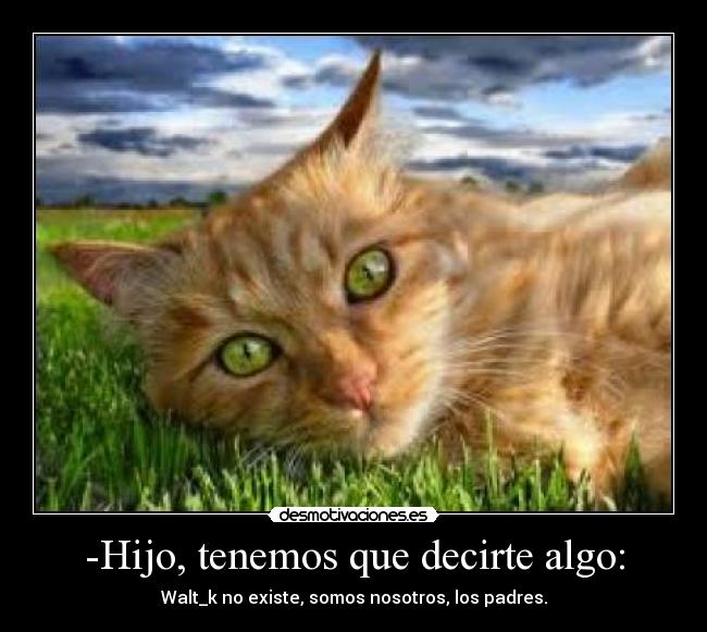 carteles secreto desmotivaciones