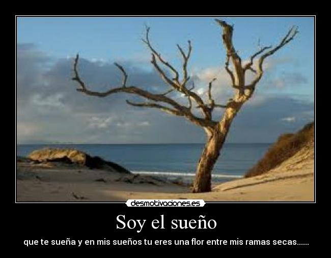 Soy el sueño -