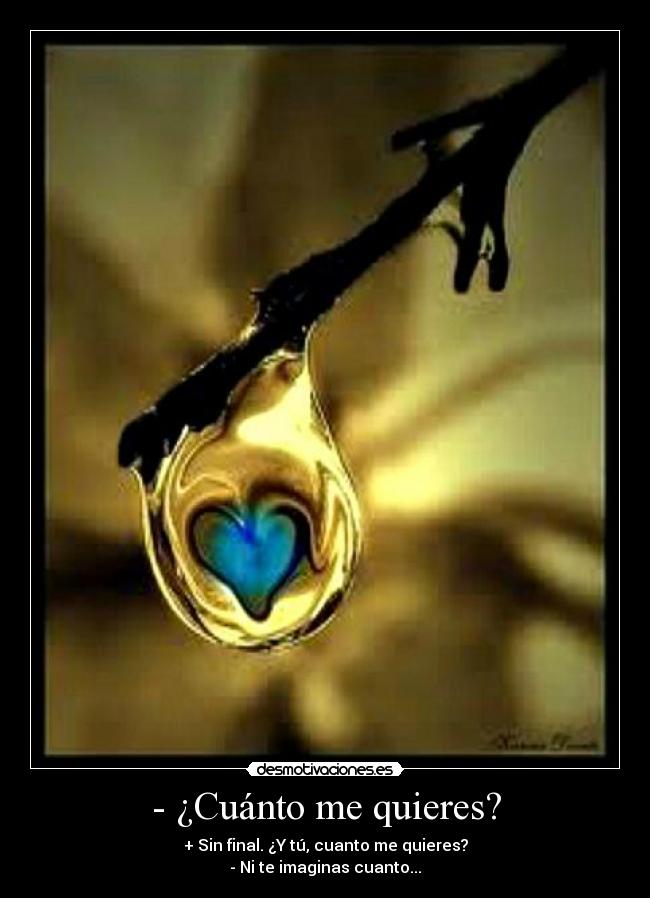 - ¿Cuánto me quieres? - + Sin final. ¿Y tú, cuanto me quieres?
- Ni te imaginas cuanto...