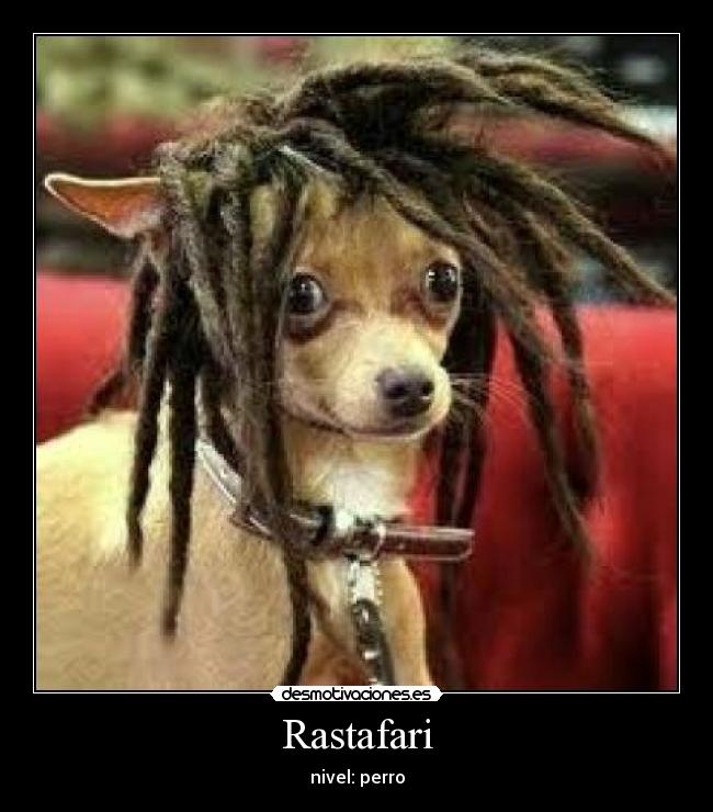 Rastafari -
