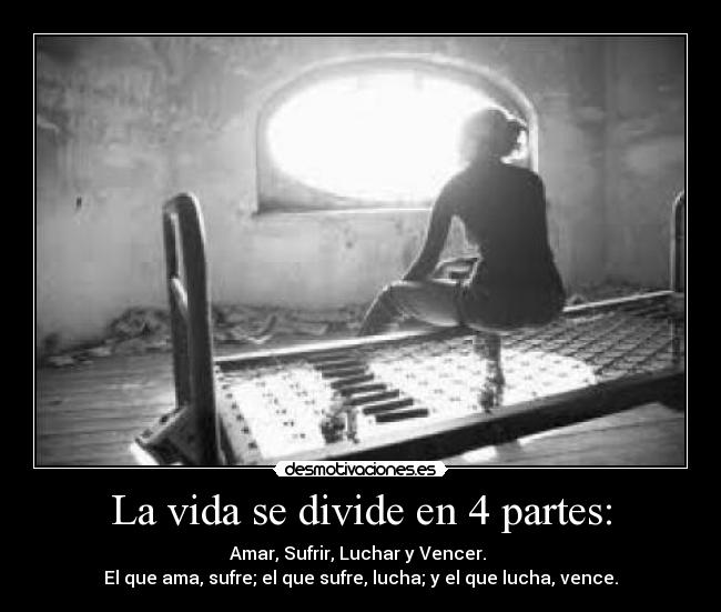 La vida se divide en 4 partes: - 