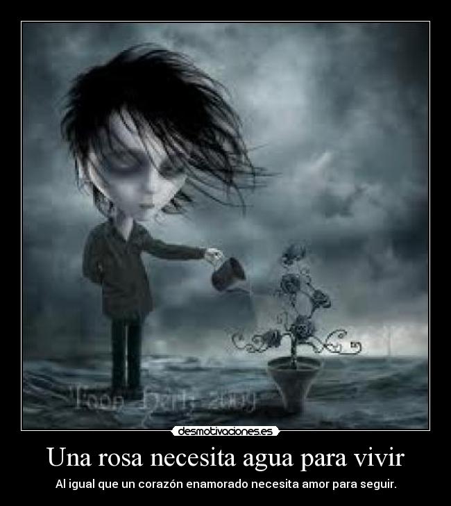 Una rosa necesita agua para vivir - Al igual que un corazón enamorado necesita amor para seguir.