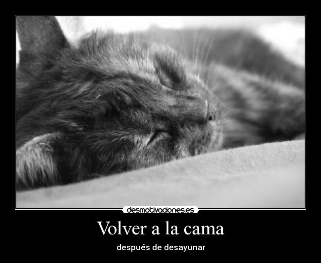 Volver a la cama -