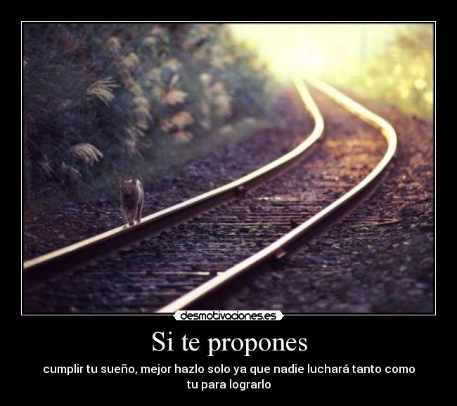 Si te propones - cumplir tu sueño, mejor hazlo solo ya que nadie luchará tanto como tu para lograrlo