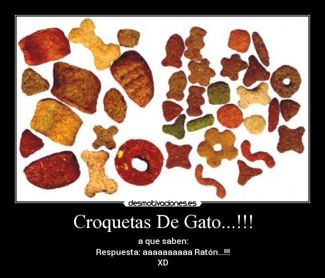 Croquetas De Gato...!!! - a que saben:
Respuesta: aaaaaaaaaa Ratón...!!!
XD