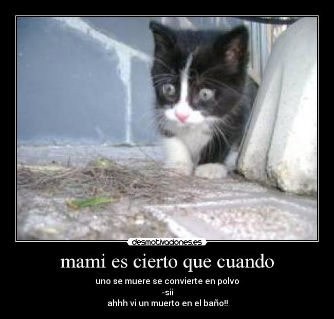 mami es cierto que cuando - uno se muere se convierte en polvo
-sii
ahhh vi un muerto en el baño!!