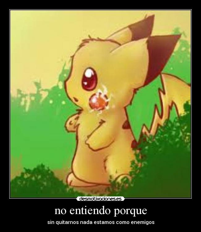 no entiendo porque - sin quitarnos nada estamos como enemigos