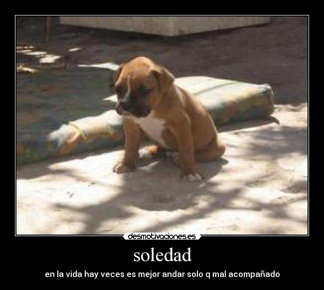 soledad - en la vida hay veces es mejor andar solo q mal acompañado