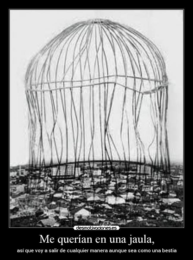 carteles lil wayne eminem love desmotivaciones