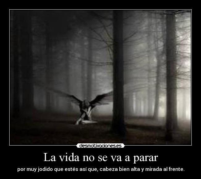 La vida no se va a parar -