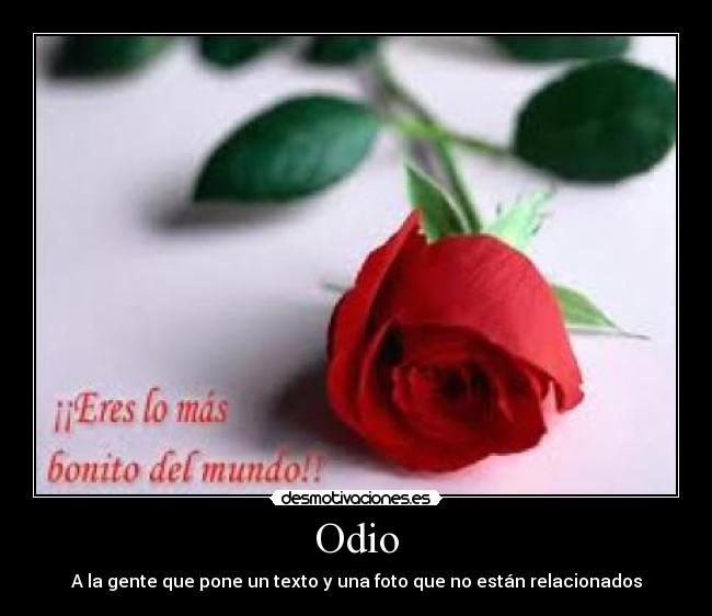 Odio - A la gente que pone un texto y una foto que no están relacionados