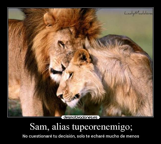 carteles tupeorenemigo sam extranare hermanito suicidio desmotivaciones