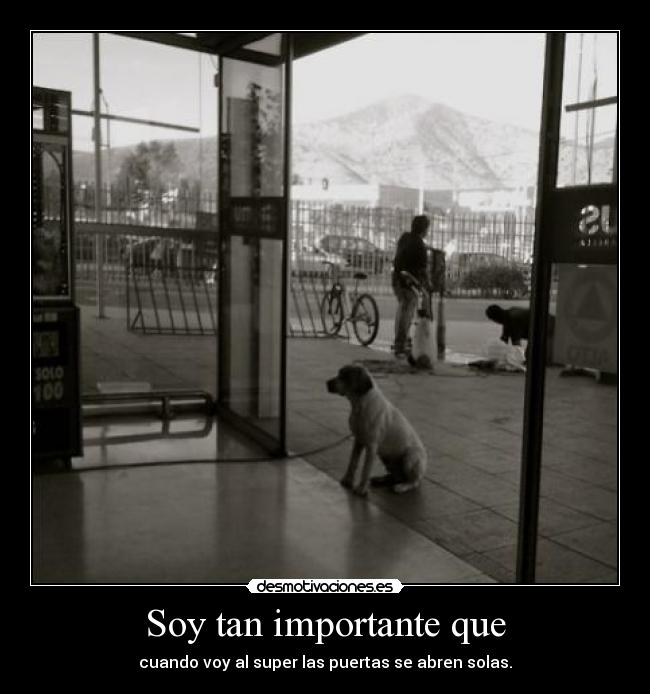 Soy tan importante que - cuando voy al super las puertas se abren solas.
