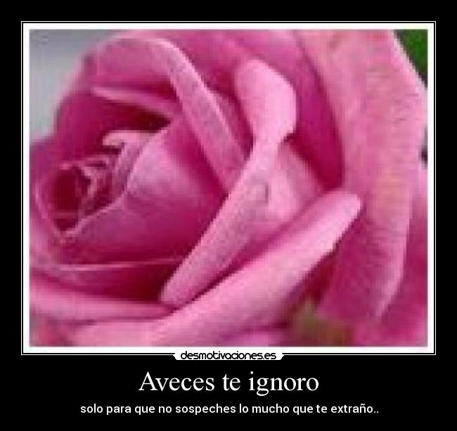Aveces te ignoro - solo para que no sospeches lo mucho que te extraño..