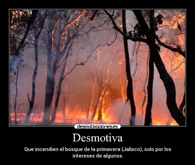 Desmotiva - Que incendien el bosque de la primavera (Jalisco), solo por los intereses de algunos.