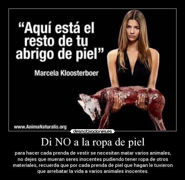 carteles ropa piel desmotivaciones