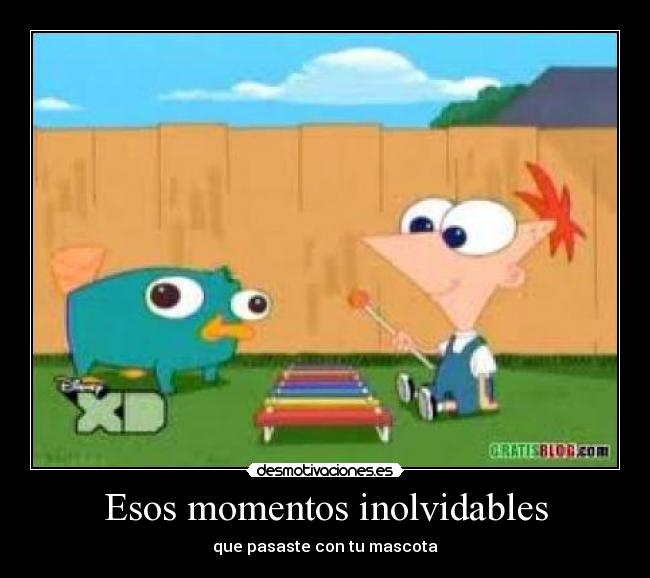 Esos momentos inolvidables - que pasaste con tu mascota