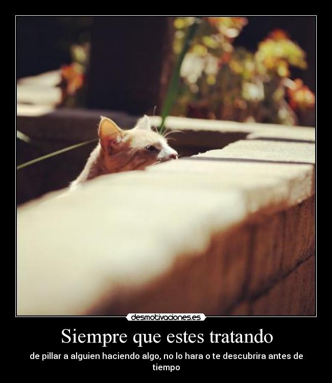 Siempre que estes tratando - de pillar a alguien haciendo algo, no lo hara o te descubrira antes de tiempo