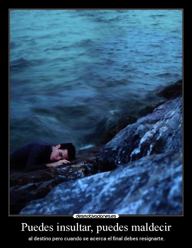 Puedes insultar, puedes maldecir -