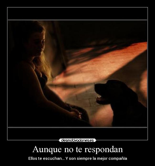 Aunque no te respondan - Ellos te escuchan... Y son siempre la mejor compañía