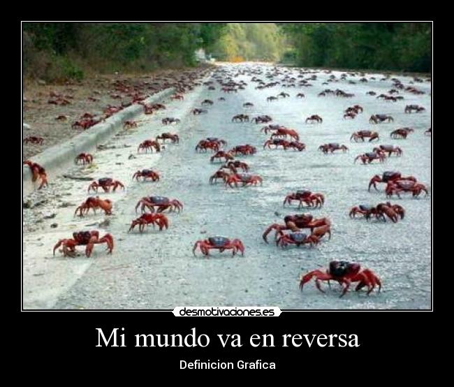 Mi mundo va en reversa -