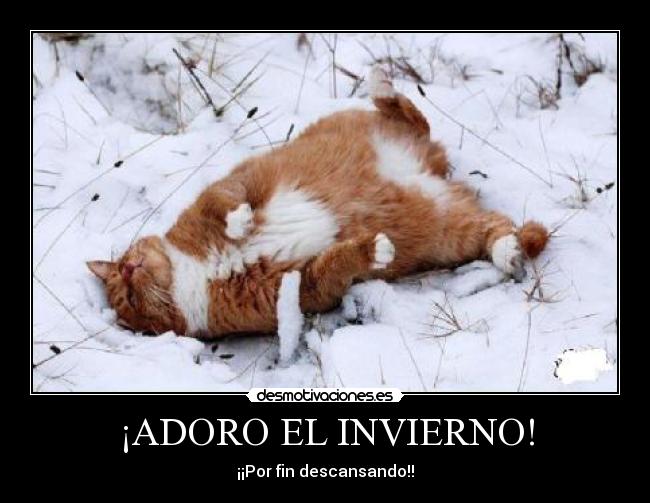 ¡ADORO EL INVIERNO! -