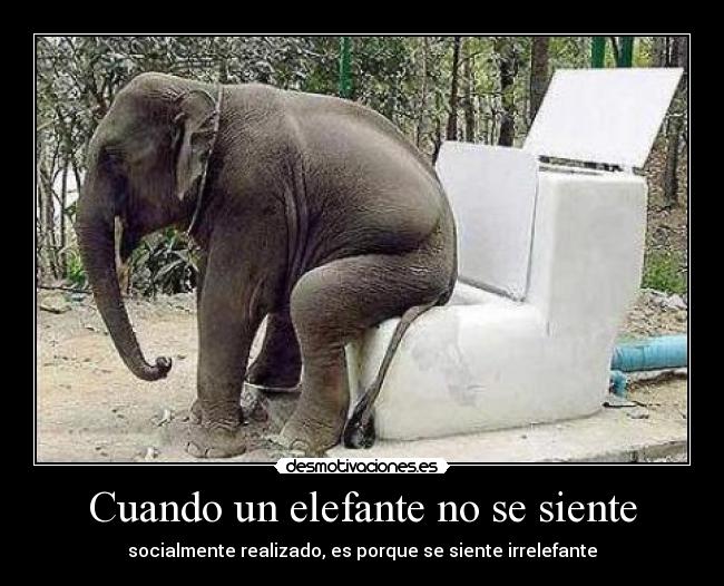 Cuando un elefante no se siente - 