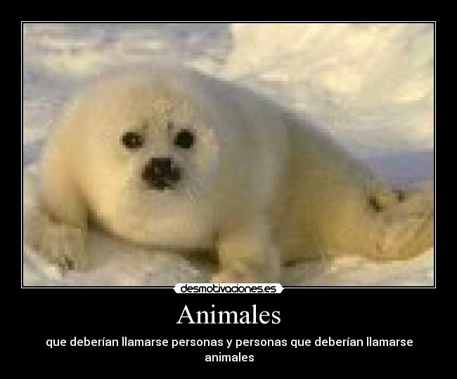 Animales - que deberían llamarse personas y personas que deberían llamarse animales