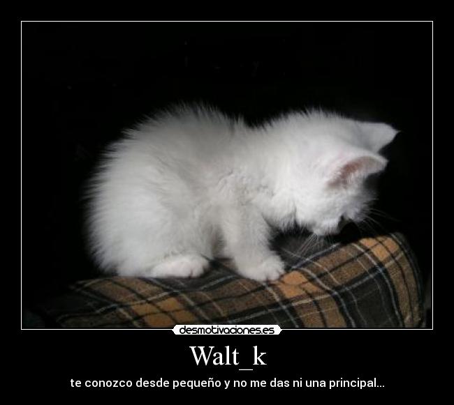 Walt_k -