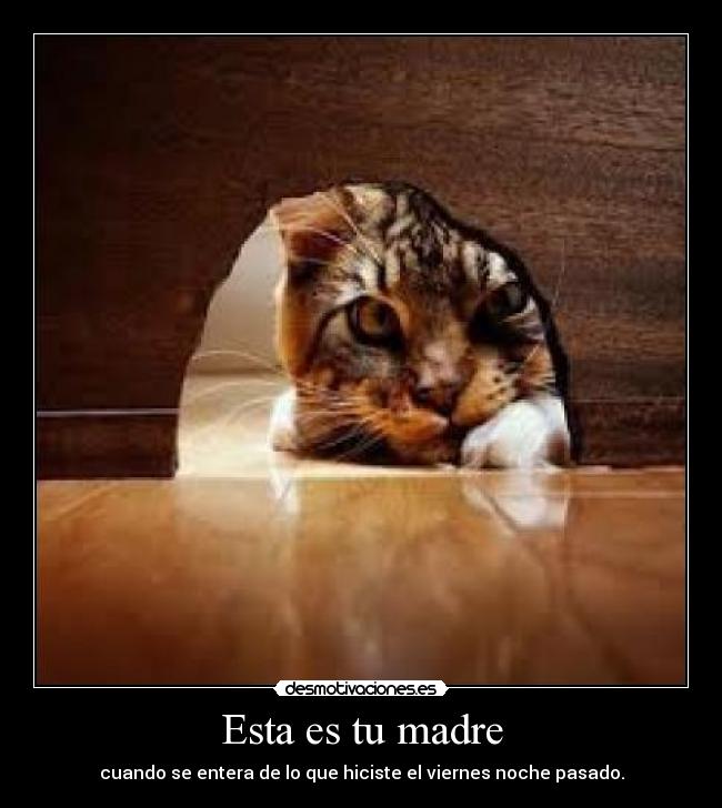 Esta es tu madre -