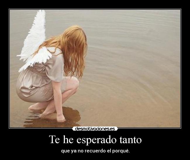 Te he esperado tanto -