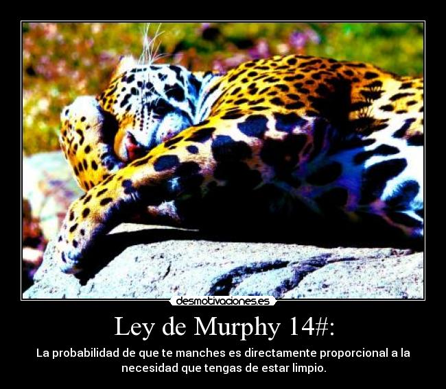 Ley de Murphy 14#: -