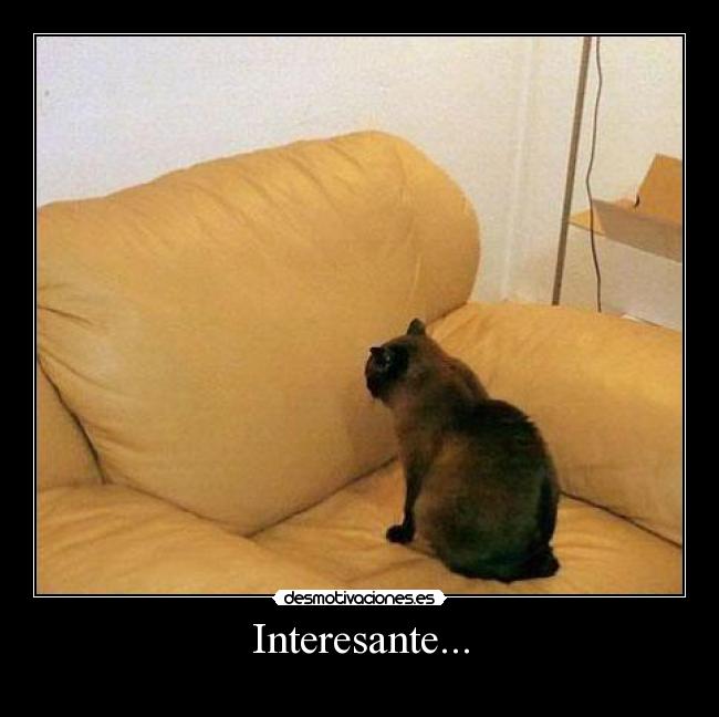 Interesante... -