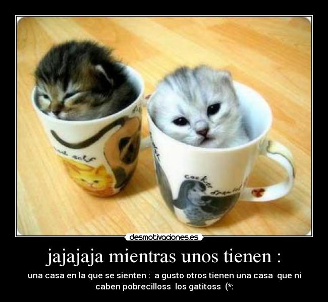 jajajaja mientras unos tienen : -